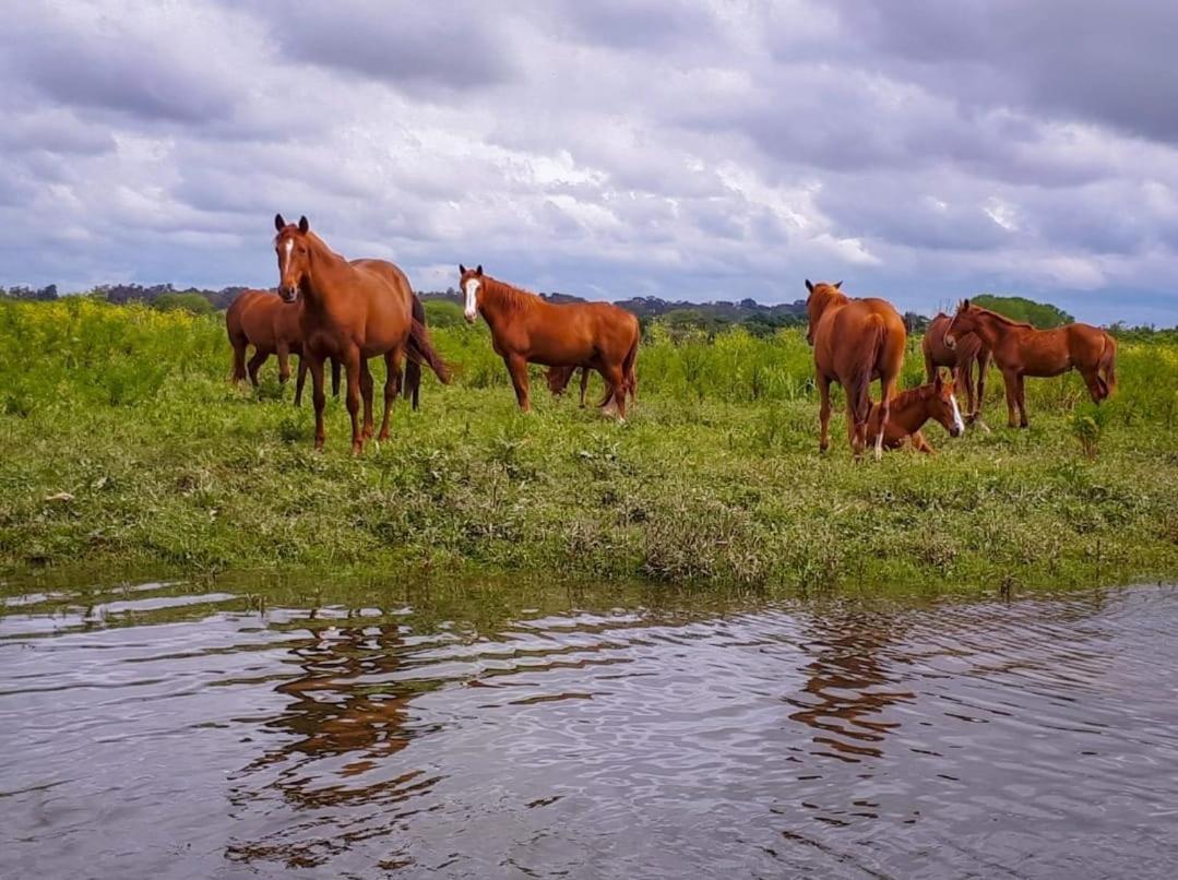 Quinta Marinhais Para Ferias No Ribatejo Exterior foto